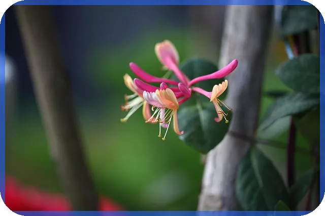 가계부 커플 앱 추천 왜 필요할까
