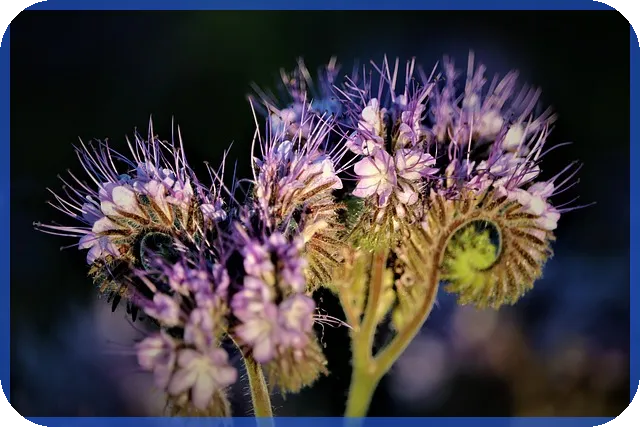 가계부 커플 앱 추천 왜 필요할까