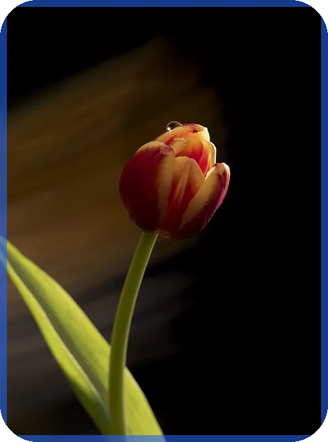 국민내일배움카드신청방법 쉽게 배우는 첫걸음