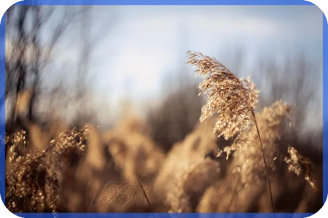 배당금높은주식으로 안정적 수익 얻기