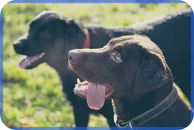 배당금높은주식으로 안정적 수익 얻기
