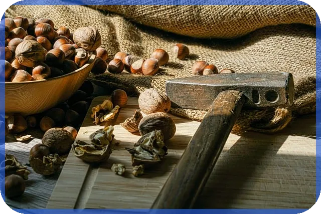 생활비줄이기 집밥 메뉴 식단은?