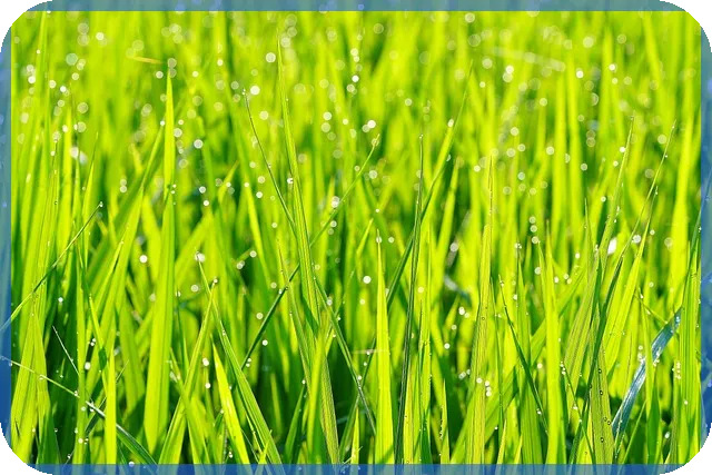 생활비줄이기 집밥 메뉴 식단은?