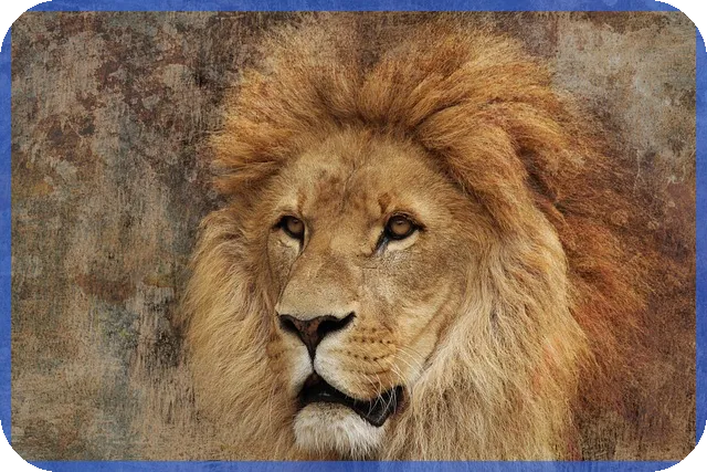 시스템반도체대장주 재무 분석과 향후 전망은