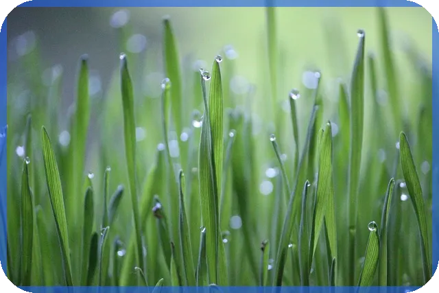 시스템반도체대장주 재무 분석과 향후 전망은