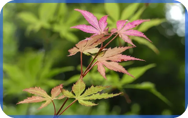 아파트담보대출금리 비교로 이자 부담 줄이기