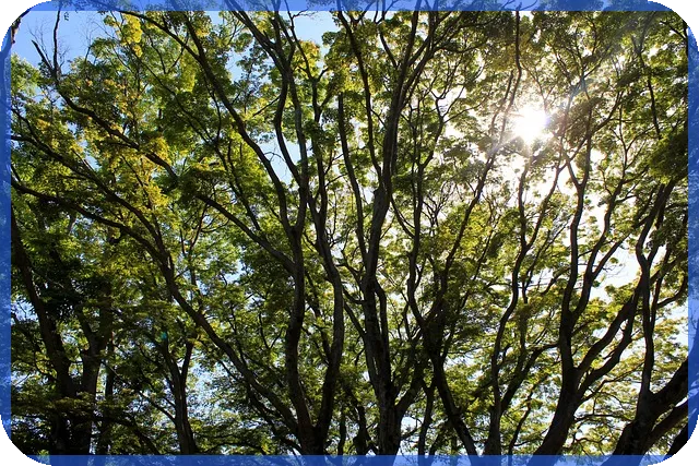 아파트재건축 은마아파트 관련주 탐색