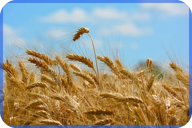 엔터주 투자 지금 할까 고민되시죠