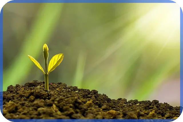 연금저축펀드추천 가이드 2025년 필수 정보는 무엇일까