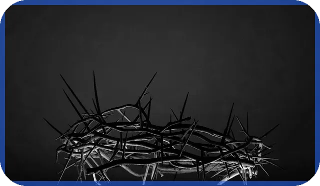 전세계약연장 필수 체크리스트가 궁금한가요