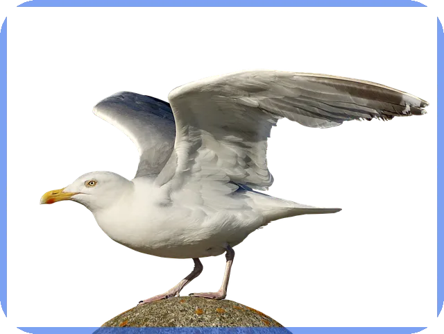 케이뱅크계좌개설 업비트 연동 방법은?