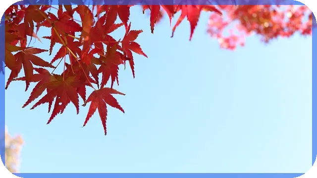 GS리테일주가 폭락 그 이유는?