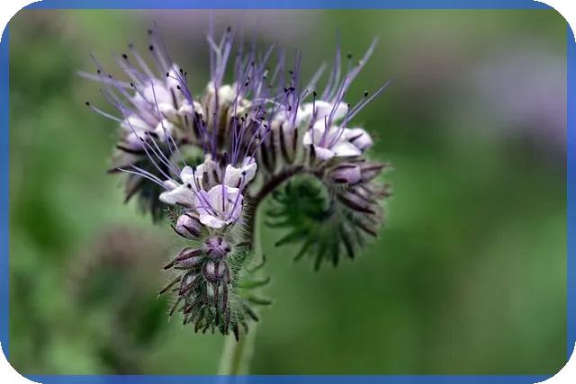 개인회생비용 저렴한 곳 비교와 선택 전략