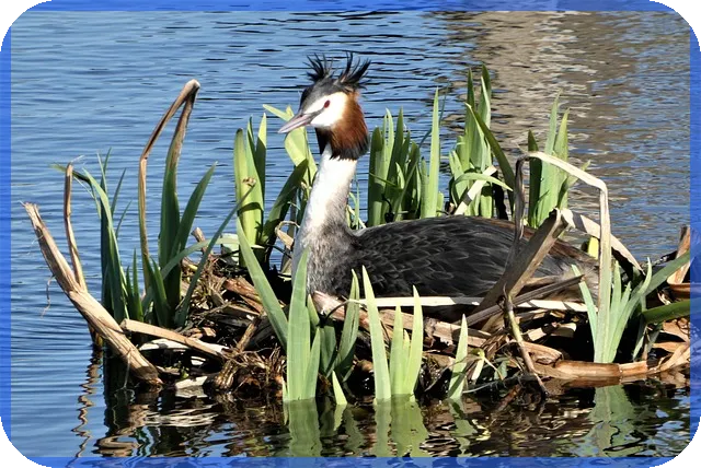 노인맞춤돌봄서비스 신청 방법과 자격 요건 압축 정리