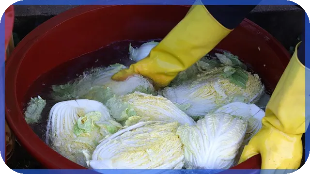 데이터바우처지원사업 2025년 최종 가이드