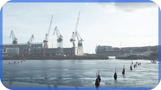 돼지고기관련주 축산업 성장과 경쟁력 분석