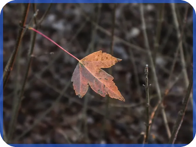 롯데하이마트주가 전망과 냉방가전 수요 증가 예상