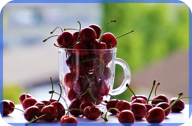 마이크론주가 2025년 급등할까