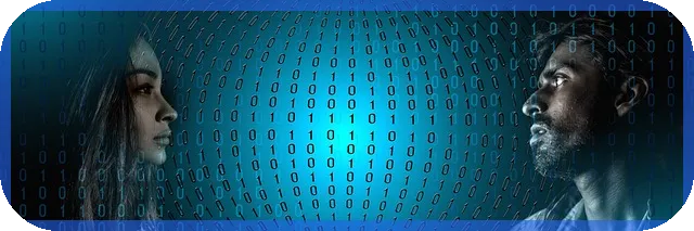 부가가치세무실적신고 핵심 실무 및 판례 해설