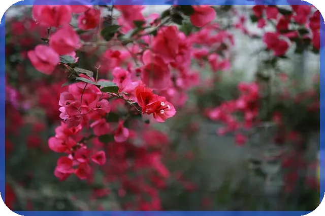 부가가치세무실적신고 핵심 실무 및 판례 해설