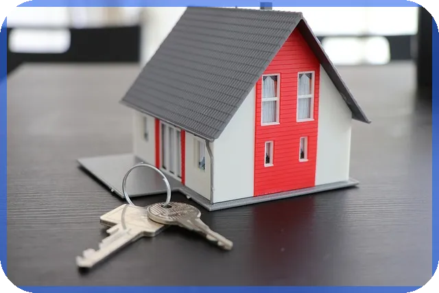 부가가치세무실적신고 핵심 실무 및 판례 해설