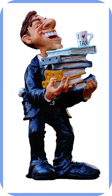 부가가치세무실적신고 핵심 실무 및 판례 해설