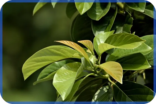 블리자드주식 지금 살 수 없지만 투자 기회는? 블리자드 성장 가능성 분석