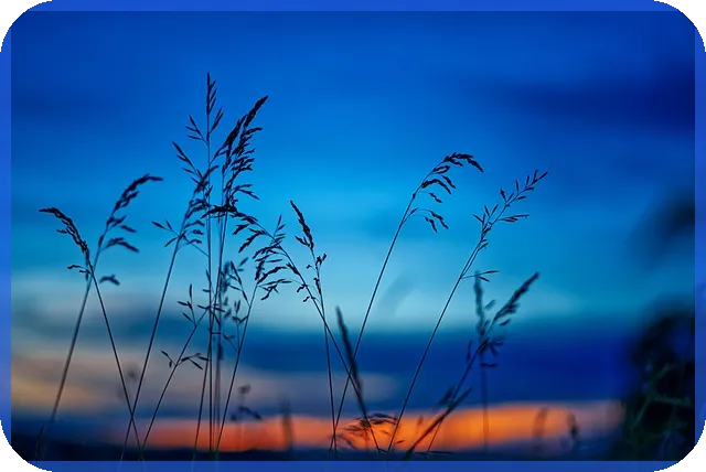 블리자드주식 지금 살 수 없지만 투자 기회는? 블리자드 성장 가능성 분석