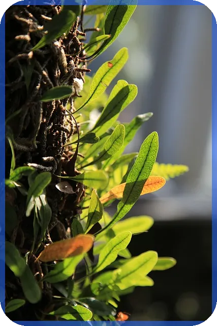 블리자드주식 지금 살 수 없지만 투자 기회는? 블리자드 성장 가능성 분석