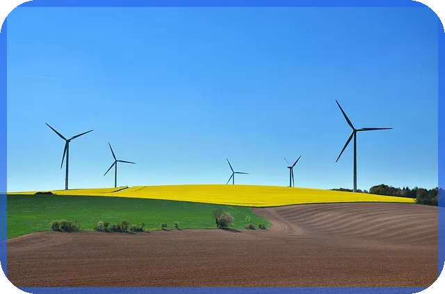 의료기기 산업의 순환 비즈니스모델 혁신 전략