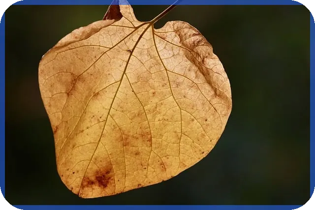 세계gdp순위 쉽게 이해하기, 한국은 몇 위일까