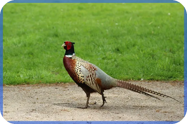 소금주식으로 건강한 식품 제조와 영광의 가치창출 방법은