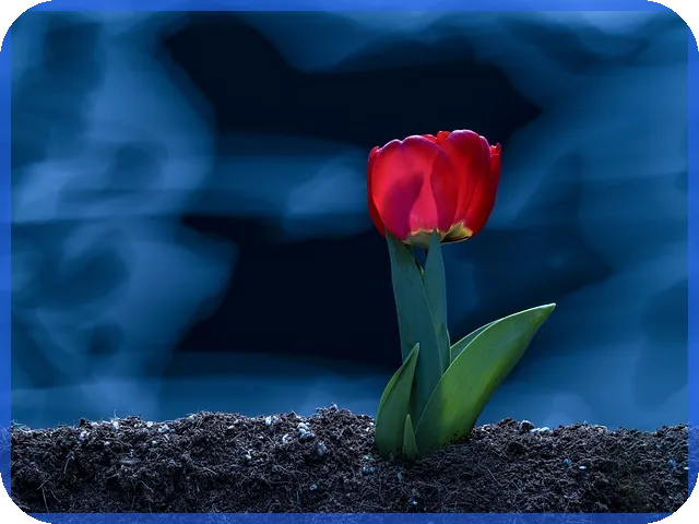 소상공인대환대출로 경영 숨통 트기 전략