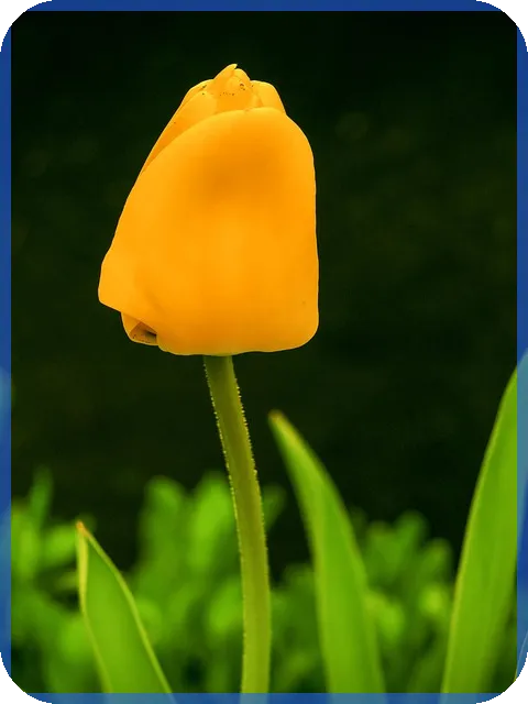 소상공인대환대출로 경영 숨통 트기 전략