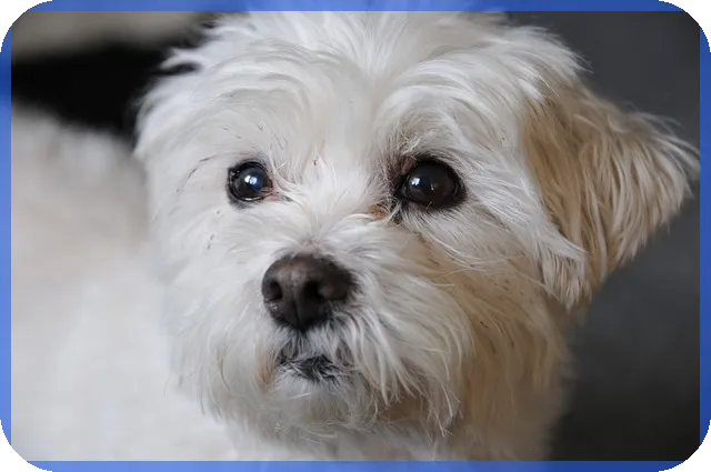 스위트홈 웹툰과 드라마의 차이와 매력은 무엇일까