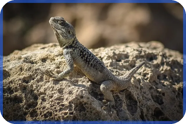 스위트홈 웹툰과 드라마의 차이와 매력은 무엇일까