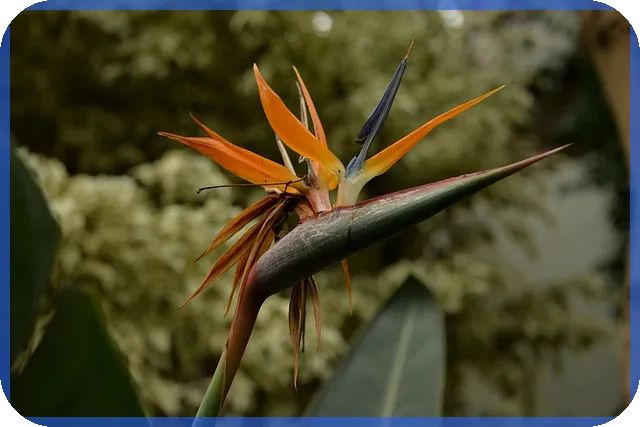 식테크 성공 비법 초보자가 반드시 알아야 할 전략과 관리법