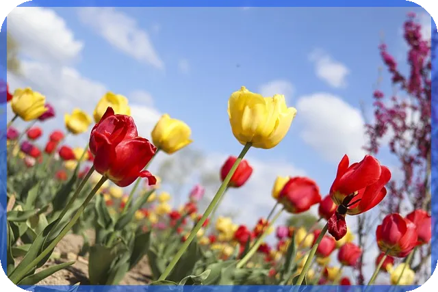 식테크 성공 비법 초보자가 반드시 알아야 할 전략과 관리법