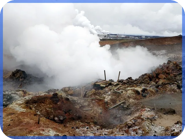 식테크 성공 비법 초보자가 반드시 알아야 할 전략과 관리법