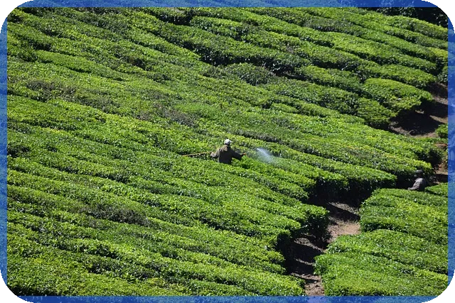 식테크 성공 비법 초보자가 반드시 알아야 할 전략과 관리법