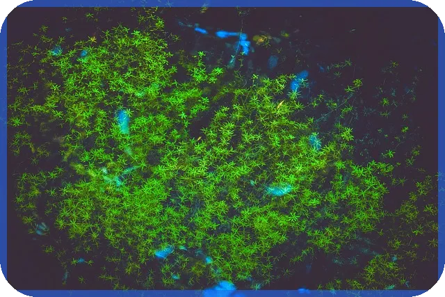 식테크 성공 비법 초보자가 반드시 알아야 할 전략과 관리법