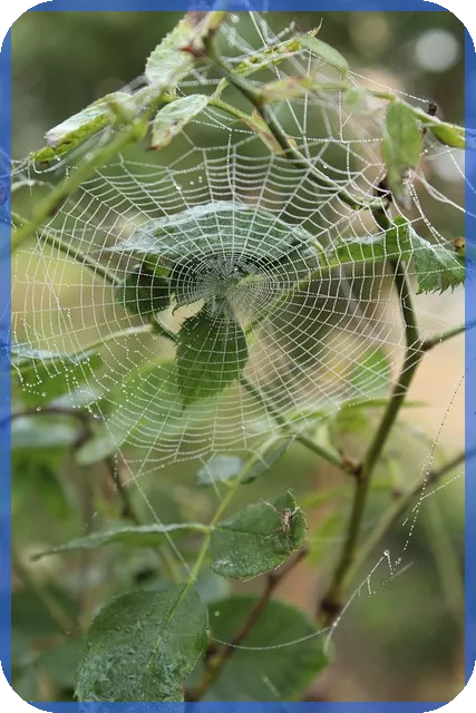 인선이엔티주가 태풍 폐기물 관련주 살펴보기
