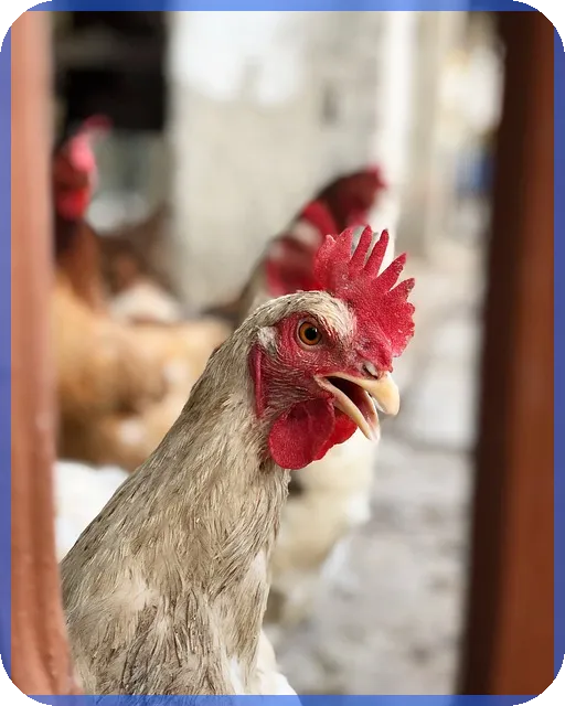 자동차개소세연장 혜택 최신 가이드 알아보기