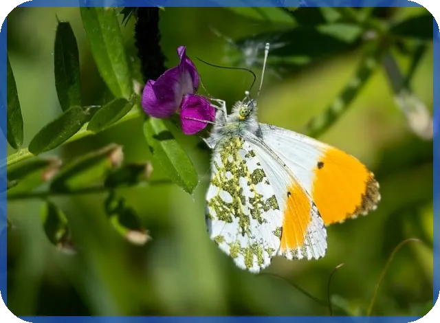 조세특례제한법 개정 핵심 내용 한눈에 분석