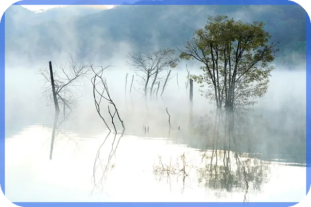 주식모의투자 시작으로 성공 투자 습관 만들기
