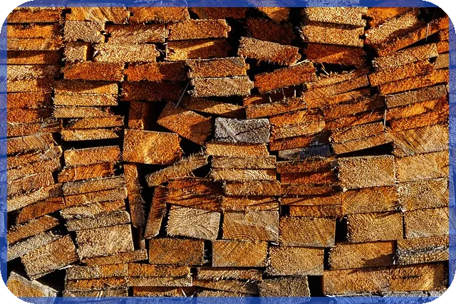 주식양봉 분석으로 하락장 이기는 전략 알아보기