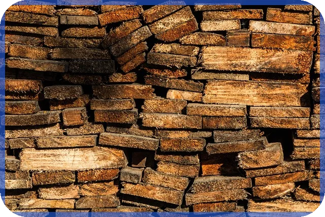 주주배정유상증자 투자 전략과 리스크는?