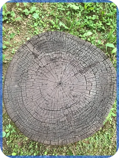 지역주도형청년일자리사업으로 청년과 지역 동반성장 가능할까