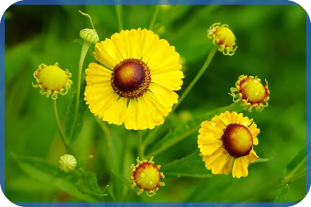 코로나생활지원비 신청 방법 및 대상 핵심 정리