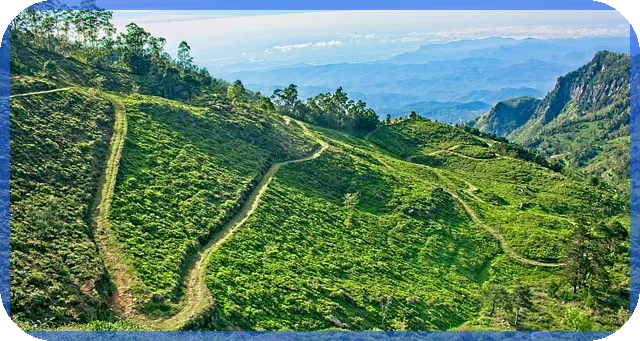 반포자이 가격 하락 실태와 부동산 시장 전망